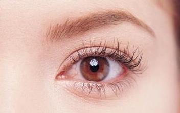 2023廣州熱效溶脂排行top10強的專家(劉攸香、唐志榮、王逸彬各具特色隨你選！)