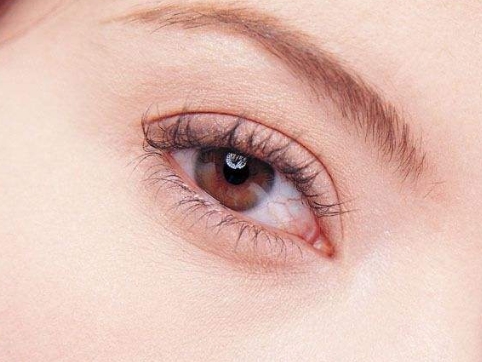 穆寶安與黃寅守，京城熱門加減美大咖實力對決！最新實測推薦~