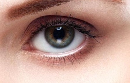 上海肋骨鼻專家綜合評測：評估戴傳昌、李圣利、陳付國、王會勇等專家能力