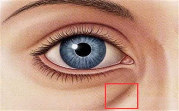 上海哪家醫(yī)院做雙眼皮好？楊嫻嫻的雙眼皮手術(shù)是否值得推薦？點(diǎn)擊查看價(jià)格表！