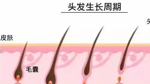 臨沂瑞麗美容醫(yī)院專業(yè)嗎？醫(yī)院的醫(yī)生水平如何？地址在哪？口碑怎樣？