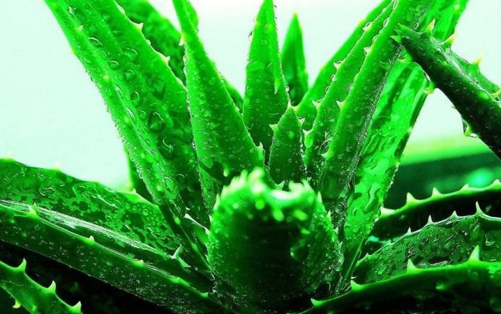 北京圣佳嘉新醫(yī)療美容怎么樣？北京圣佳嘉新醫(yī)療美容簡介|醫(yī)生團隊|口碑評價！