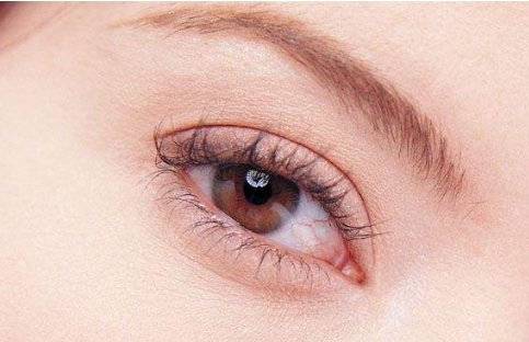 魏皎VS戴傳昌：選擇醫(yī)生資質(zhì)_口碑_擅長(zhǎng)項(xiàng)目，全面PK！附詳解鼻部整形