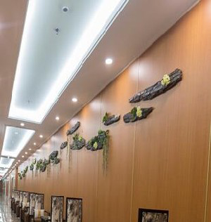 東北國際醫(yī)院整形美容再生醫(yī)學中心下頜角整形有什么風險？價格如何？