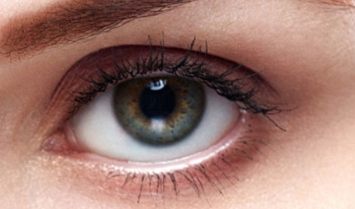 切雙眼皮的費用是多少？割雙眼皮的最佳時間？