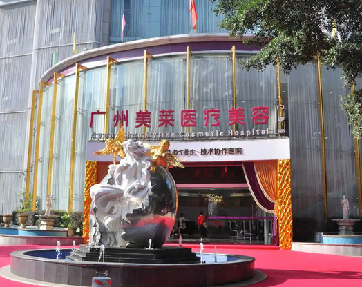 廣州美萊醫(yī)療美容門(mén)診部.png