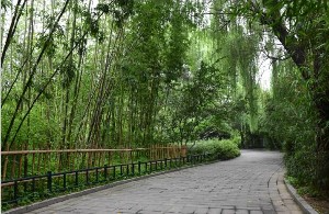 北京海醫(yī)悅美醫(yī)療美容門診部_北京海醫(yī)悅美醫(yī)療美容門診部