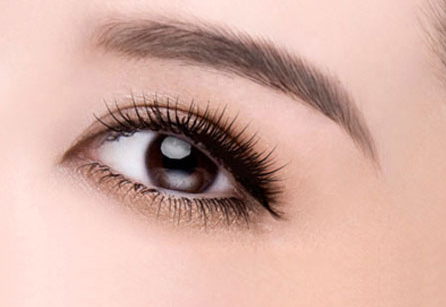 女生除皺切眉多少錢？