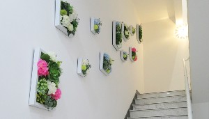 威海美神德?tīng)柮揽歪t(yī)療美容門(mén)診部