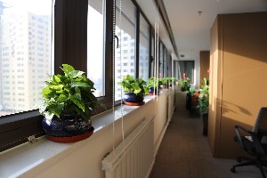 新疆整形美容醫(yī)院